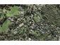 64 Attwood Road, Paremoremo, Auckland - Carousel 1