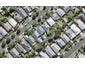 25 Cumberland Avenue, Westmere, Auckland - Carousel 1