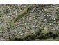 78B West Harbour Drive, West Harbour, Auckland - Carousel 1