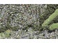 58 Taupo Street, Green Bay, Auckland - Carousel 1