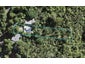6 Tainui Road, Titirangi, Auckland - Carousel 1