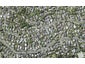 1/40 Penzance Road, Mairangi Bay, Auckland - Carousel 1