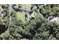 19 Tui Crescent, Waiatarua, Auckland - Carousel 1