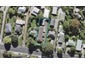 2/126 Triangle Road, Massey, Auckland - Carousel 1