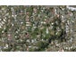 41 Leith Street, Morningside, Whangarei - Carousel 1