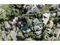 17 Clensmore Place, Torbay, Auckland - Carousel 1