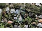 50A Empire Road, Epsom, Auckland - Carousel 1