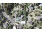 28 Albacore Way, Maraetai, Auckland - Carousel 1