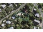 6 Tiri Road, Oneroa, Waiheke Island - Carousel 1