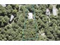 74 Mountain Road, Henderson Valley, Auckland - Carousel 1