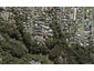 30 Wernham Place, Northcote, Auckland - Carousel 1