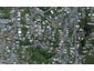 12 Hoggard Street, Vogeltown, Wellington - Carousel 1
