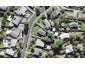16 Lantana Road, Green Bay, Auckland - Carousel 1