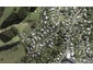 9 Tiri Road, Oneroa, Waiheke Island - Carousel 1