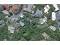17 Zetland Street, Highbury, Wellington - Carousel 1