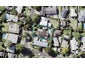 14 Sierra Street, Glendowie, Auckland - Carousel 1