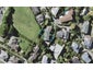 88E Hastings Road, Mairangi Bay, Auckland - Carousel 1