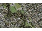 36R Cradock Street, Avondale, Auckland - Carousel 1