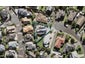 16 Westergrove Place, West Harbour, Auckland - Carousel 1