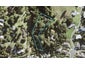 44 Ferry Road, Wade Heads, Whangaparaoa - Carousel 1