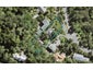 42 Kohu Road, Titirangi, Auckland - Carousel 1