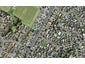 1B Maxwelton Drive, Mairangi Bay, Auckland - Carousel 1