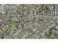 7D Marendellas Drive, Bucklands Beach, Auckland - Carousel 1