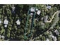 57 Frank Street, Oneroa, Waiheke Island - Carousel 1