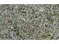 69C Andrew Road, Howick, Auckland - Carousel 1