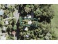 41 Buckleton Road, Tāwharanui Peninsula, Matakana - Carousel 1
