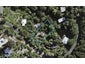 35 Hill Road, Palm Beach, Waiheke Island - Carousel 1