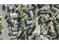 27 Capricorn Place, Browns Bay, Auckland - Carousel 1