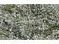 50 Glamorgan Drive, Torbay, Auckland - Carousel 1