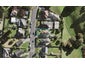 53 Freeland Avenue, Mount Roskill, Auckland - Carousel 1