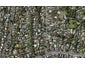 12 Kelvin Road, Remuera, Auckland - Carousel 1