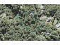84 Opanuku Road, Henderson Valley, Auckland - Carousel 1