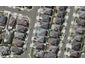 7 Shandon Street, Flat Bush, Auckland - Carousel 1