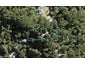 46 Mahoe Road, Titirangi, Auckland - Carousel 1