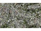 90 Tarawera Terrace, St Heliers, Auckland - Carousel 1
