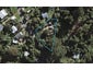 17 Eden Terrace, Onetangi, Waiheke Island - Carousel 1