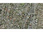 11E Rene Place, Sunnyhills, Auckland - Carousel 1