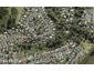 82 Anich Road, Massey, Auckland - Carousel 1