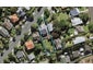 14 Mount Royal Avenue, Mount Albert, Auckland - Carousel 1