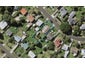 17 Taratoa Street, Point England, Auckland - Carousel 1