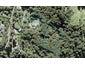 294 Forest Hill Road, Waiatarua, Auckland - Carousel 1