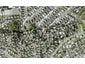 12 Jayne Place, Torbay, Auckland - Carousel 1