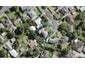 8 Judith Place, Titirangi, Auckland - Carousel 1