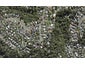 10 Arcadia Crescent, Bayview, Auckland - Carousel 1