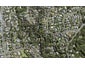 22A Highland Avenue, Titirangi, Auckland - Carousel 1