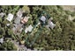 40 Opou Road, Titirangi, Auckland - Carousel 1